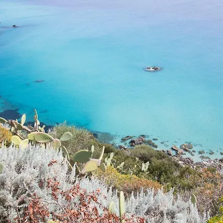 Alice * Capo Vaticano