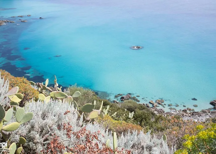 Alice * Capo Vaticano